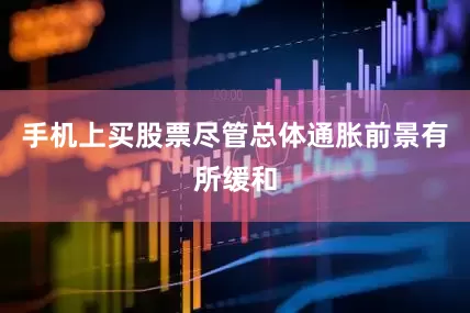 手机上买股票　　尽管总体通胀前景有所缓和