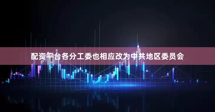 配资平台各分工委也相应改为中共地区委员会