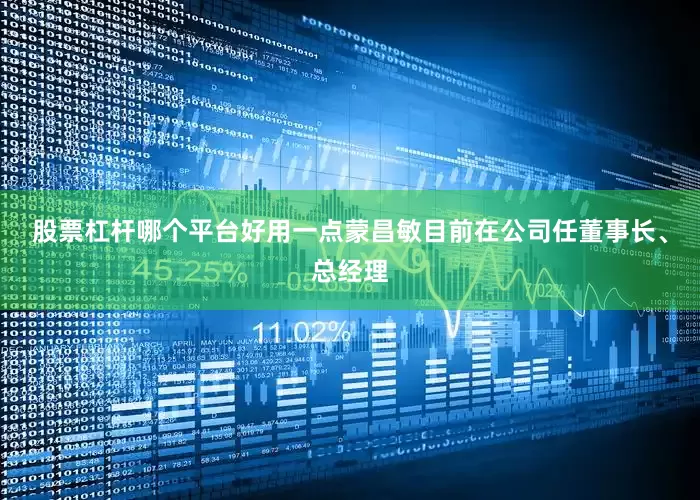 股票杠杆哪个平台好用一点蒙昌敏目前在公司任董事长、总经理